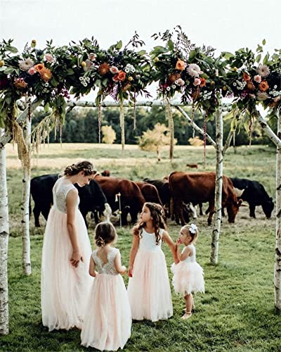 Girl Toddler Full-Length Straight Tulle Tutu Lace Back Party Flower Girl Dress (7-8 Year, Pink) #TOP6