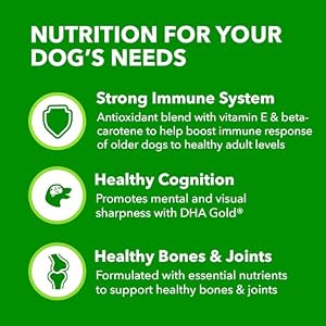 IAMS Proactive Health Healthy Aging Large Breed Adult Dry Dog Food for Mature and Senior Dogs with Real Chicken 30 lb Bag