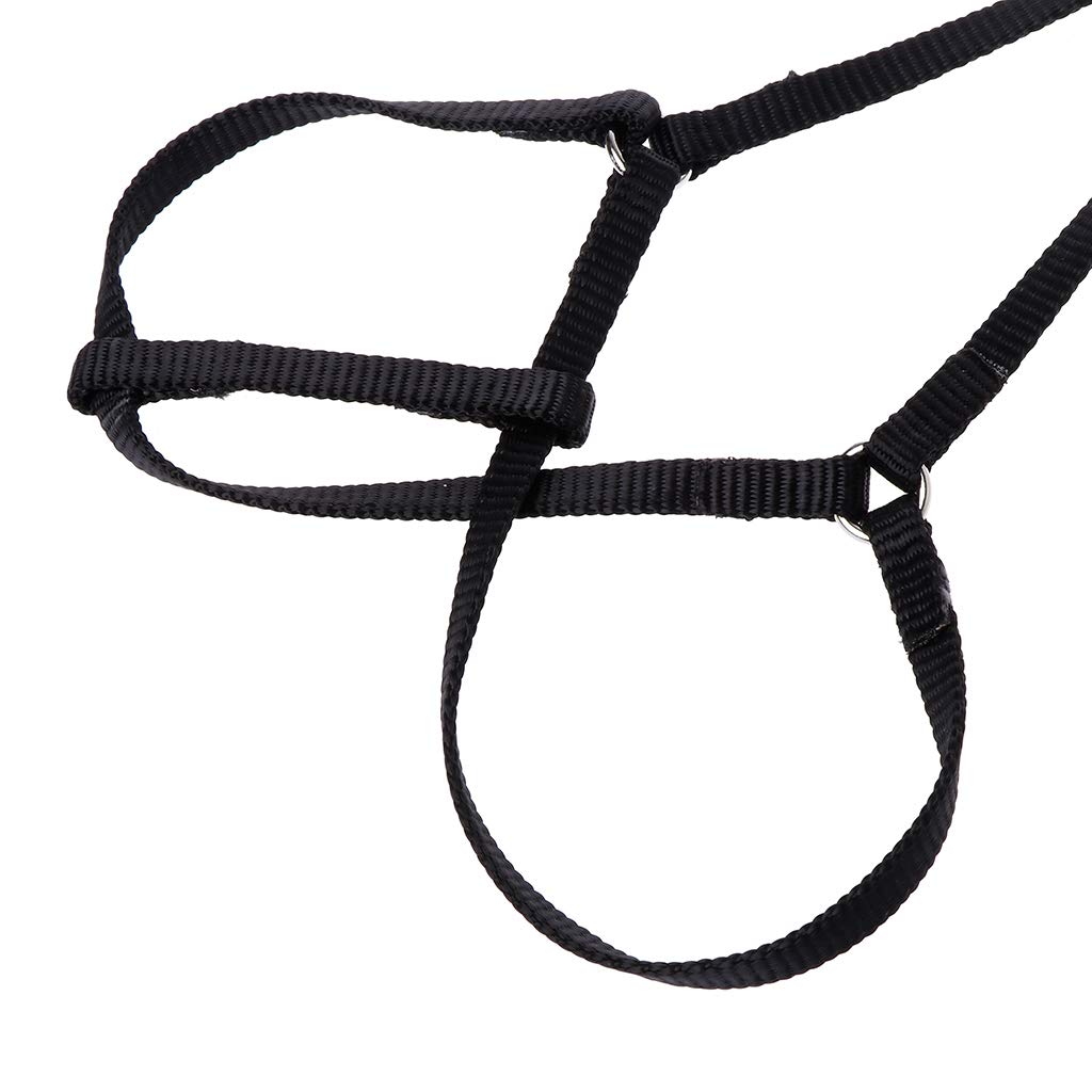 JONbinbkl Adjustable with Elastic Leash for Bird Easy Control Harness Leash Vest Flying for Cross Band, Orange