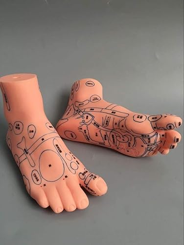 Miniatura 9 de Reflex Zone - Juego de modelos de masaje, no modelo de acupuntura, modelo de masaje de orejas y manos de pies, modelo de masaje en idioma chino