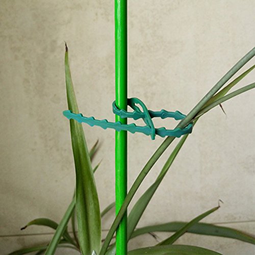 Exttlliy Plastic Reusable Adjustable Garden Plant Twist Tie Gardening Flexible Vines Tie for Garden Home Use Green (60Pcs)