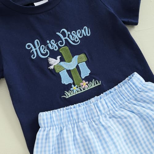 Image of Toddler Baby Boy Easter Rabbit Outfit Short Sleeve Bunny Carrot Smocked T-shirt Elastic Waist Shorts Summer Clothes