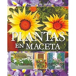 Macetas Jardin Balcón Plantas En Maceta (Plantas De Jardín)