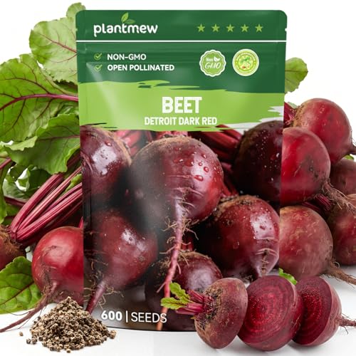 PLANTMEW Detroit Dark Red Beet Seeds 600 Heirloom Seeds for Planting Open-Pollinated Garden Vegetable Root Seeds for Home Gardens