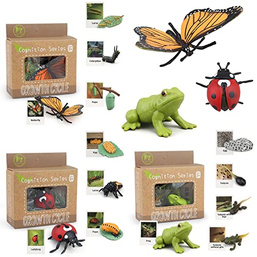Montessori Life Cycle Animal Figures with Flash Cards, Realistic Animal Plant - Bild 26 von 71