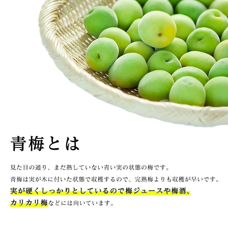 Amazon.co.jp: [みさわのやさい] 青梅 南高梅 生梅 訳あり サイズ混合
