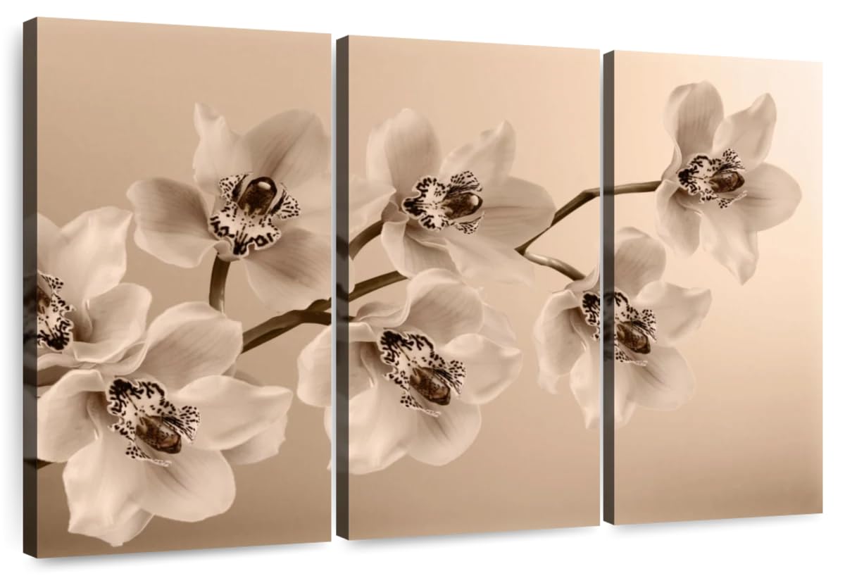 Amazon.com: Elephant Stock - Branch of Sepia Orchids Wall Art