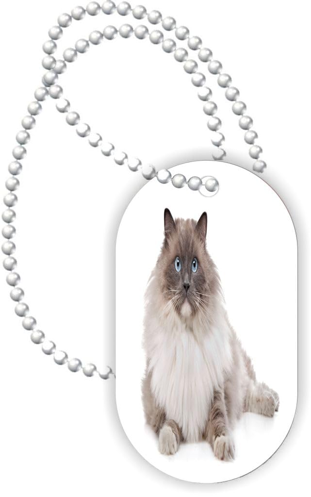 Island Gifting - Fluffy Ragdoor Cat Sitting - Aluminum Dog Tag Necklace Pendant with Ball Chain