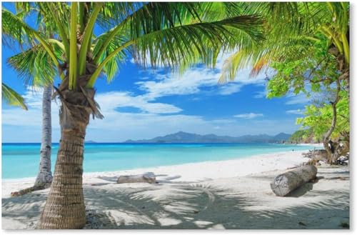 ؐ1000 pieces WO\[pY Ẵr[`  V̖ l̂ Q[