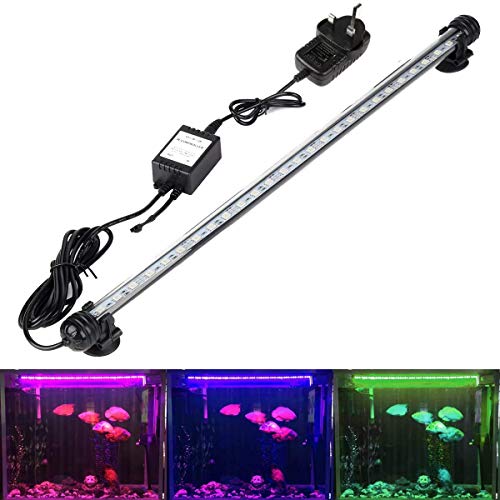 What Are The Best LED Fish Tank Lights On The UK Market?