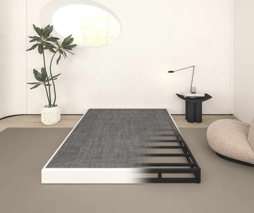 5 Inch Box Spring Queen Size, Heavy Duty Metal Queen Mattress Foundation, 3000 lbs Weight Capacity, Low Profile Noise-Free Bed Base with Fabric Cover, Easy Assembly, Black