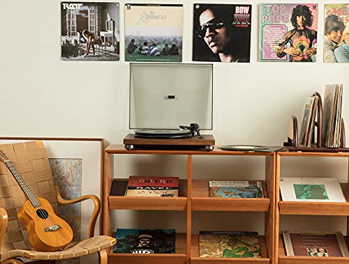 1 BY ONE Rock Pigeon Belt-Drive Turntable with Speakers, Built-in Phono Preamp, Vinyl Record Player with Moving Magnetic Cartridge AT-3600L, RCA Out