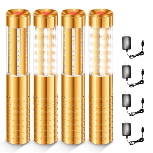 Bottle Service Lights 4 Pcs Bottle Girl Lights Rechargeable Girl Sparklers for Bar Club Concert Birthday Wedding Party