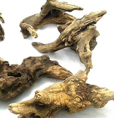 Amazon 天然 マングローブ 流木 3個セット ｒ サイズ 約１５ ２０ｃｍ位 観葉植物 オンライン通販