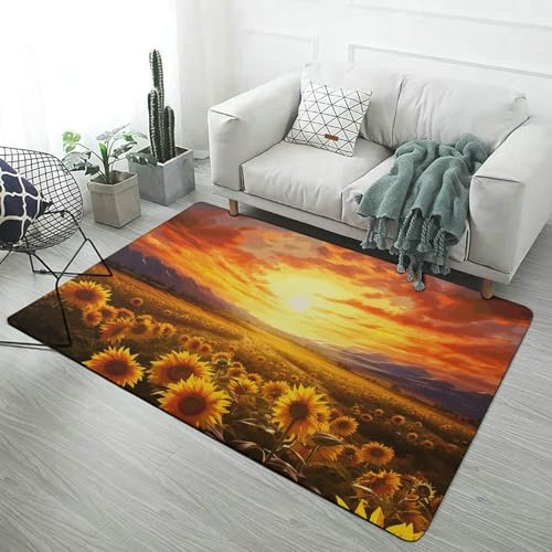 Tapis antidérapant grand tapis velours corail contre sol glissant