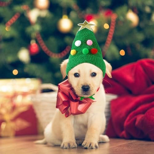 Haustier Weihnachtsmütze, Weihnachtskostüm Haustier Hund Katze, Niedlicher Plüsch Katzen Weihnachtsmütze mit Pompon, Weihnachtskostüm Hund, Perfekt Zum Verkleiden Von Haustieren zu Weihnachten (Grün)