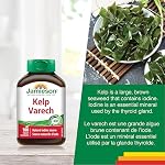 Comprimés de Kelp Jamieson, Source Naturelle de 650 mcg Iode, Soutien Thyroïdien, et un Facteur dans le Maintien d'une Bonne Santé. Non-OGM, Sans Gluten, 100 Comptes, Fièrement Canadien