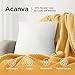 Acanva Decorative Throw Pillow Inserts for Sofa, Bed, Couch and Chair, Square Euro Sham Form Stuffer with Premium Polyester Microfiber, 2 Count (Pack of 1), White