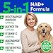 BARK&SPARK NAD+ for Dogs - Advanced Longevity Formula for Healthy Aging - Resveratrol, Quercetin & Nicotinamide - NMN Alternative for Senior Dog Vitality & Brain Health - Peanut Butter - 90 Ct
