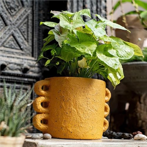Flowerpot nordic style en ciment avec support de plante intérieur - 5