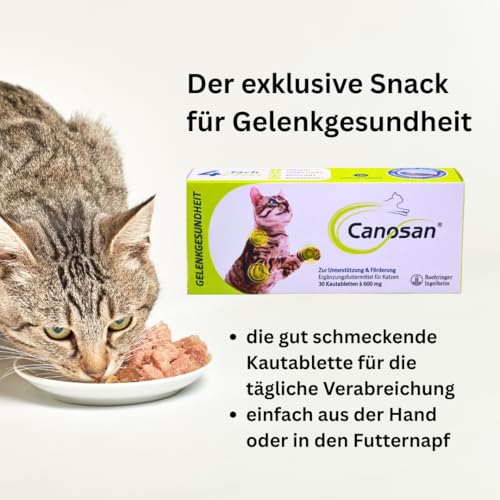 Canosan 1x 30 Kautabletten I Ergänzungsfuttermittel für Katzen I mit Gonex Grünlippmuschel-Extrakt I zur Unterstützung von Gelenken, Knorpeln, Sehnen und Bändern I Spar-Set plus Pharma Perle give-away