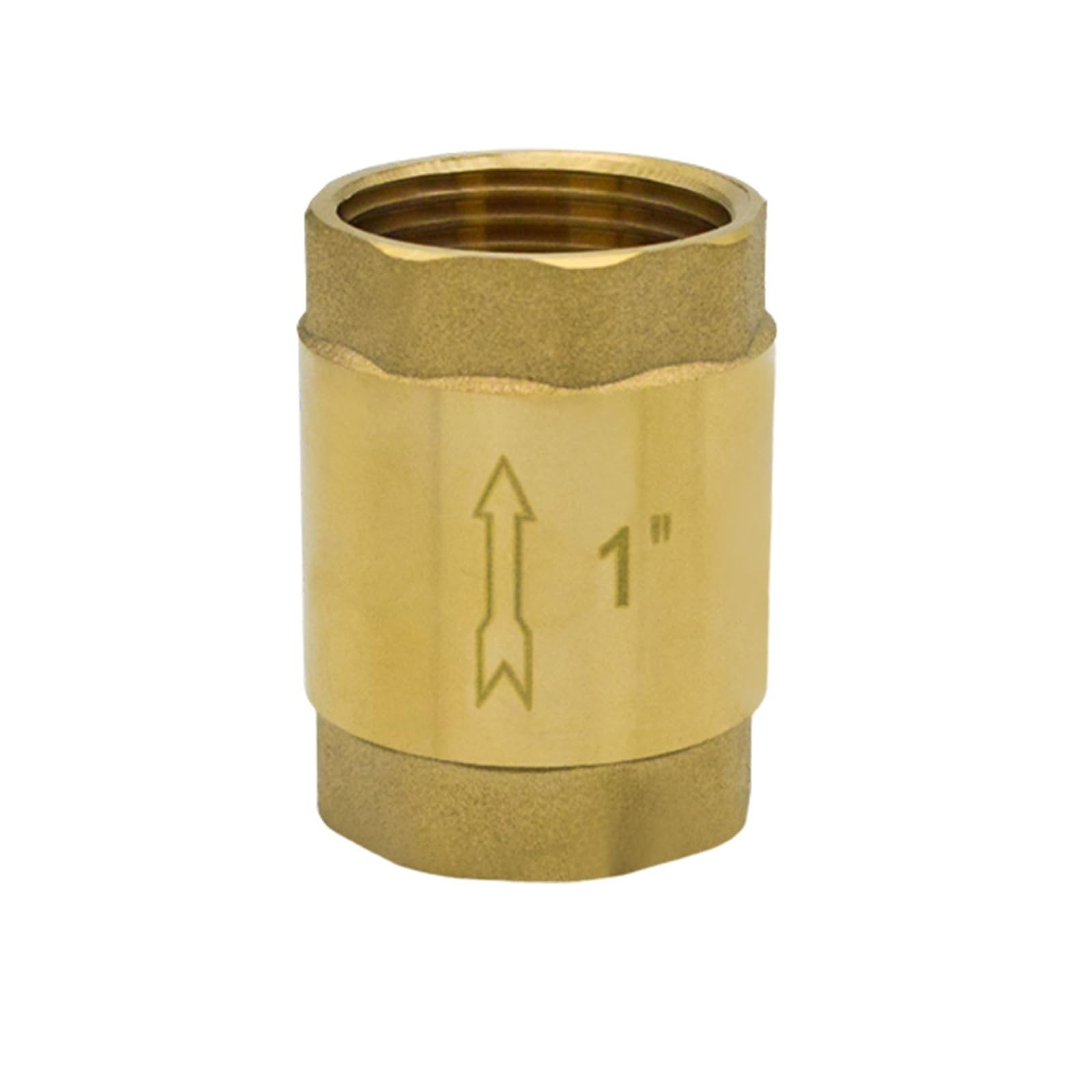 Valvola di ritegno a molla in linea in ottone 1/2" 3/4" Filettatura femmina Controllo del riflusso unidirezionale dell'acqua(DN80)