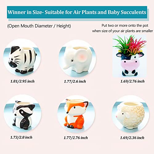6 Pcs Air Plant Holders Cartoon Shaped Small Succulent Pot Animal Planter Small Ceramic Plant Pot With Drainage For Mini Plant Cactus Flower, Tillandsia Air Fern, Display Stand Home, Office Desktop #TOP4