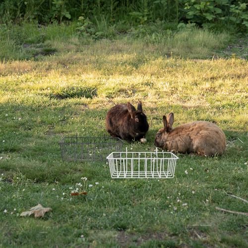 Soportes de hierro para comederos de conejos Genérico en pack de 2 piezas para jaulas 7