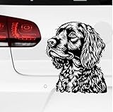 Rakelfix American Water Spaniel Cocker Aufkleber Sticker Hunde Hunde Dog Personalisierbar Name,Text,Größe Wunschtext Auto Autoaufkleber Wandtattoo