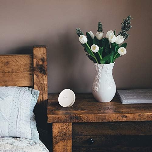 Airthings 292 Wave Mini - Indoor Air Quality Monitor with Volatile Organic Compound (VOC), Humidity & Temperature Detectors, Cable-Free