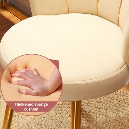 Silla de terciopelo y patas doradas para tocador y salón 7