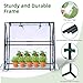 Mini Greenhouse for Indoor Outdoor: Ohuhu Tabletop Portable Green House with Waterproof Pad for Small Plants Nursery Germination, 36