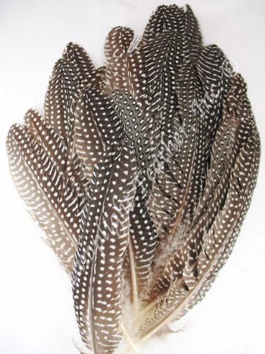 ZUCKER Large Natural Guinea Feather Rounds - 4-8" 100pc Wedding DIY Craft Home Decor