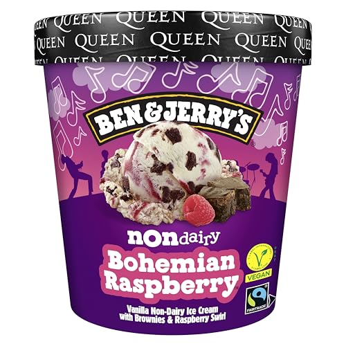 Ben & Jerrys Non-Dairy Bohemian Raspberry Ice Cream Tub 465 ML
