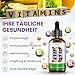 Liposomale Vitamin B Komplex Flüssiges - Hochdosiert Tropfen mit Allen 8 B-Vitaminen, Aktive Vitamin B Formen, Vegan, Keine Zusatzstoffe, 60ml (1er Pack)