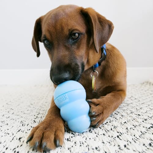 KONG Snacks - Natürliche Hundekekse - Mit leckerem Geschmack - Für KONG-Spielzeuge - Hühnerleber, Große Welpen-Spielzeuge