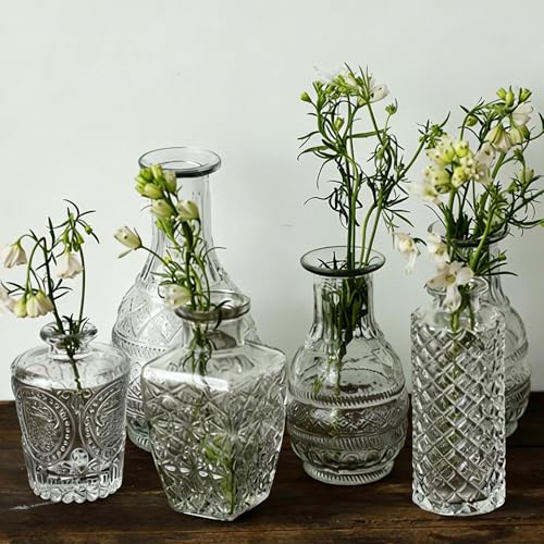Lot de vases en verre transparent pour centres de table de style rustique - 5