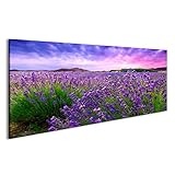 Panoramaformat: 120cm x 40cm islandburner Bild Bilder auf Leinwand Lavendel Feld Büsche Provence Poster, Leinwandbild, Wandbilder