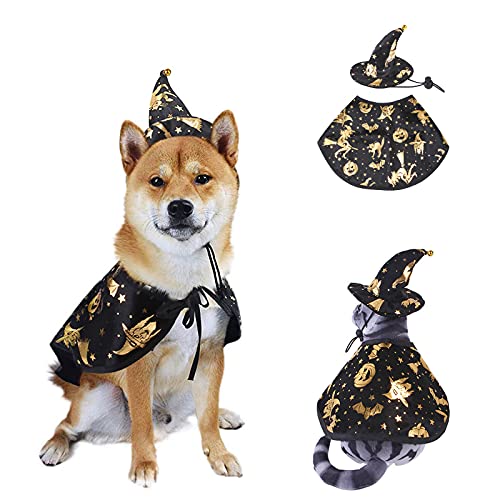 Disfraz Halloween para perro o gato S capa y sombrero