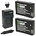Wasabi Power Battery (2-Pack) and Charger for Drift GBAT and Drift HD Ghost, Ghost-S