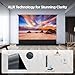 NothingProjector Motorized ALR Screen for Ultra Short Throw Projector, 95% Ambient Light Rejecting, 120 inch, Floor Rising, 4K/8K UHD, Active 3D, Anti Daylight, Electric Retractable Automatic NothPJ