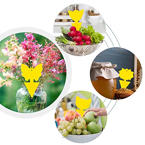 48 Pcs 4 Shapes Yellow Sticky Traps For Fruit Fly, Whitefly, Fungus Gnat, Mosquito And Fly, Sticky Insect Catcher Traps For Indoor/Houseplants/Kitchen, Extremely Sticky, Non-Toxic, Pet & Kid Safe #TOP4
