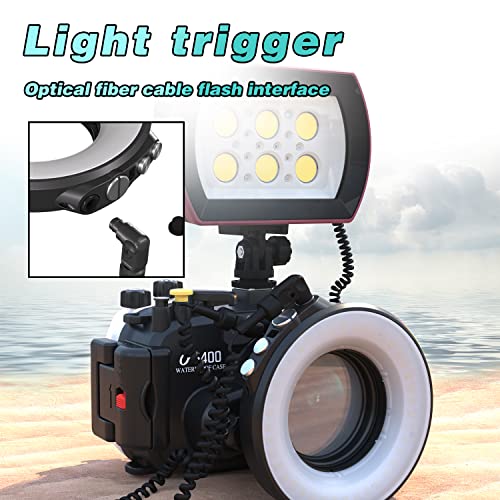 Seafrogs Underwater Ring Light Waterproof 130Ft/40M White Red Blue Camera Fill Lights With Ball Adapter, Optical Fiber Cable For Sony, Canon, Olympus Camera, Underwater Housing (Sl-108) #TOP6