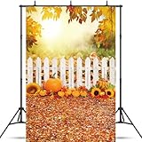 Qinunipoto 秋 背景布 落ち葉 背景 1x1.5m ひまわり かぼちゃ インテリア背景布 壁の飾り 撮影用 撮影背景 スタジオ撮影 写真 ビデオ 結婚式 誕生日 パーティーの装飾 ポリエステル材質