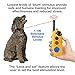 Educator EZ 1/2 Mile Dog Training Collar with Ergonomic Remote, Safe Humane Vibration Stimulation, Pavlovian Tone, Waterproof, Odorproof Biothane Collar, Night Light, Rechargeable, 1 Dog, Yellow