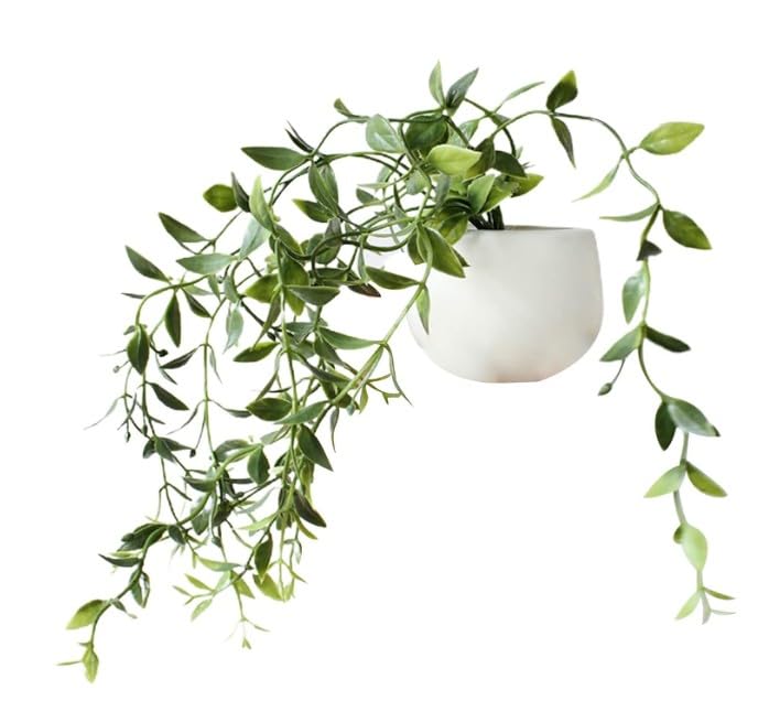 Imán decorativo 3D plantas verdes para nevera