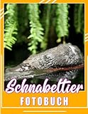  Schnabeltier Fotobuch: Wunderbare Tiere Fotobuch für alle Altersgruppen Entspannen und erholen Sie sich  Geschenkidee für Frauen, Jungen, Mädchen und Männer für einen besonderen Tag