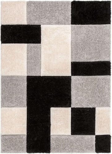 Image of Ultra-Soft Shaggy Carpet (4 X 6 FEET, Black Silver Ivory) Fluffy, Cozy & Durable Area Rug for Living Room, Bedroom & More ? Premium Modern Design
