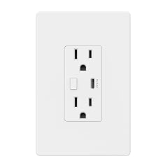 BN-LINK Smart Electrical Outlet with 2 Controlled Plugs and Type-C Charging in-Wall Smart Wi-Fi Outlet with Voice and