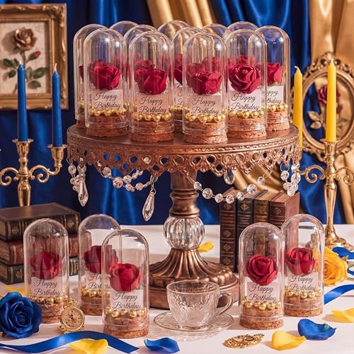 Sliner 18pcs Preserved Rose Beauty in Glass Dome Bulk Beauty Cartoon Story Themed Artificial Roses in Glass Decor for Women Princess Birthday Party Keepsake Supplies Valentines Day Gifts Decorations
